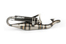 Aprilia SR Netscaper 50 2T LC - Auspuff R-Pro Carbon