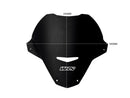 Aprilia Tuono 660 [WRS] - forrude-5