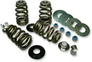 Harley-Davidson FXSE 1800 Pro Street Breakout CVO [2016-2017] - Endurance Beehive Ventilfedersatz für Screamin' Eagle Köpfe – Bild 4