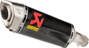 BMW S 1000 RR [Akrapovic] - Final Silencer-1