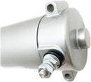 Benelli 500 500 [TECNIUM] - Starter-2