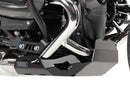 BMW R 12 NIt [2024-2025] - Motorbeskyttelsesplade-2