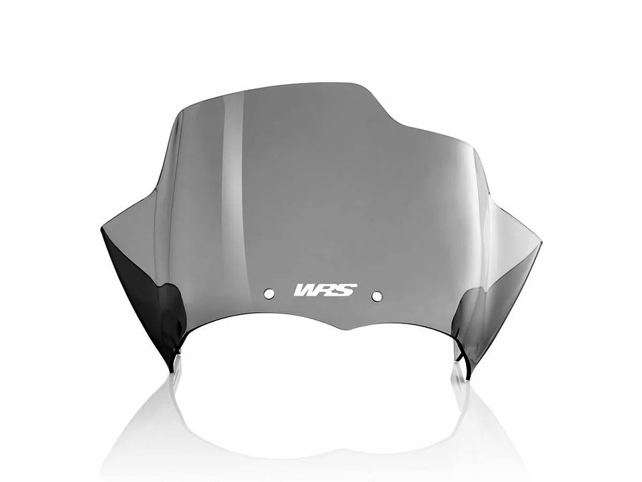 BMW R 1200 R [WRS] - forrude