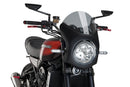 KAWASAKI Z 900 RS SE [2025] – Retro Fairing Screen – Sort-3