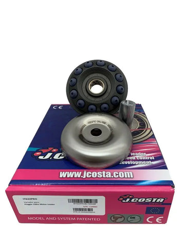Derbi BOULEVARD 150 [2003-2007, 2010] - Variator Pro – Bild 1