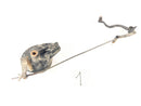 Honda XL 600 RM PD04 [1988] - Brake Drum og Brake Pedal-1