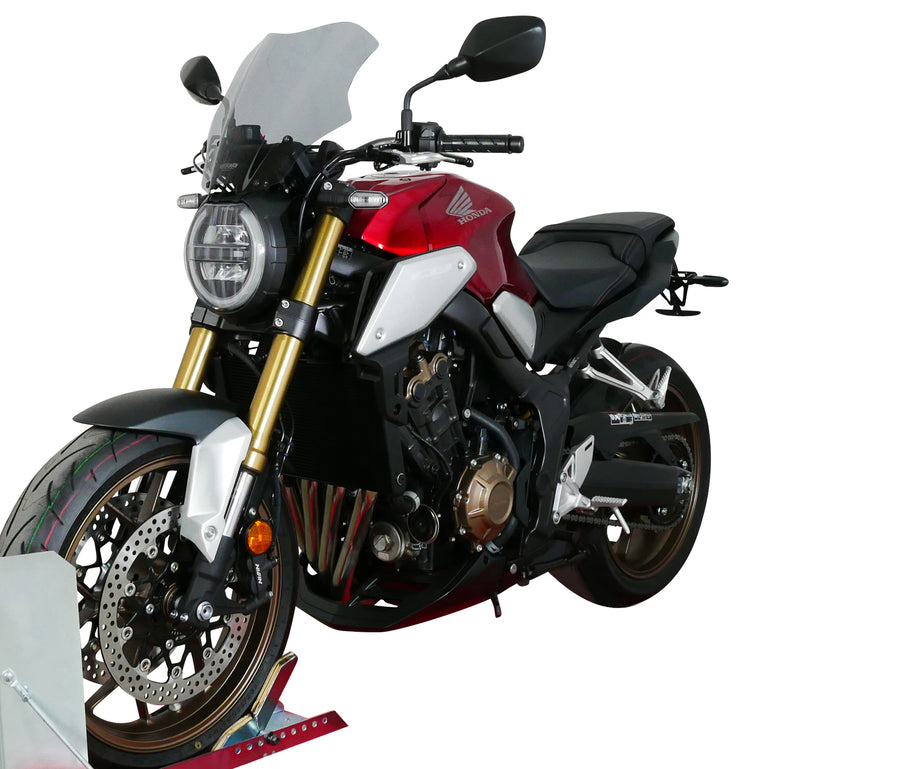 Honda CB 650 R [2019-2023] -Touring Disc "NTN"