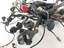 Kawasaki Z 750 ZR750J [2005] - Ledningsnet-2