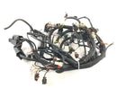 Aprilia RSV 1000 RR Factory [2009] - Ledningsnet-1