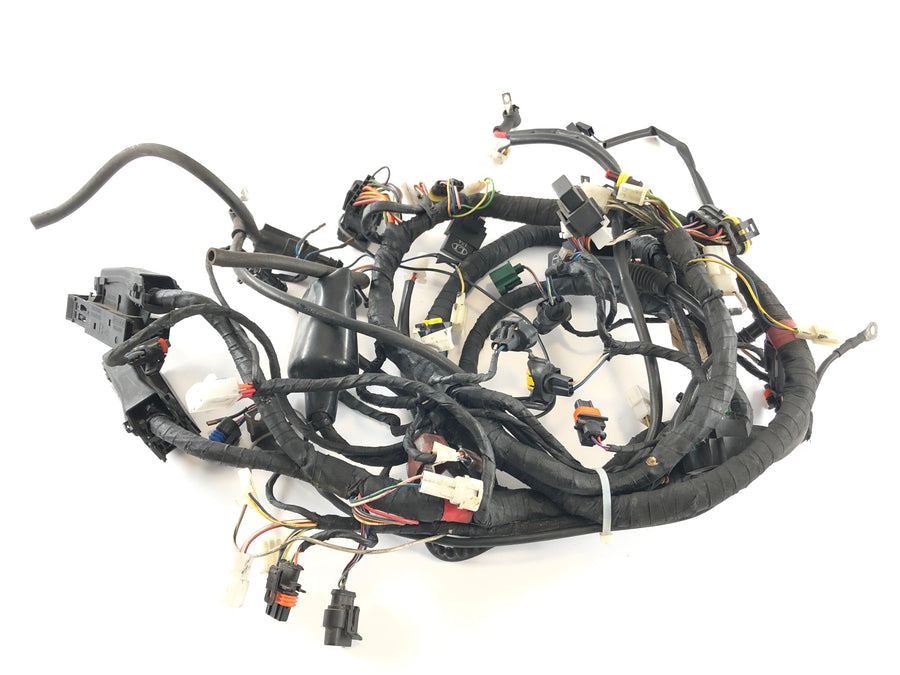 Aprilia RSV 1000 RR Factory [2009] - Ledningsnet