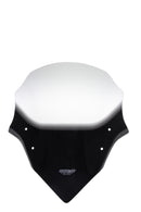 Yamaha FZ1 [2006-]-Touring Disc "NTM"-5
