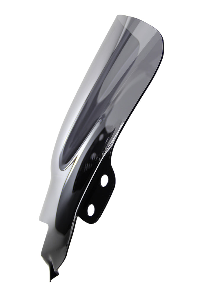Suzuki GSF 650 S [2009-]-RacingScheibe "R"