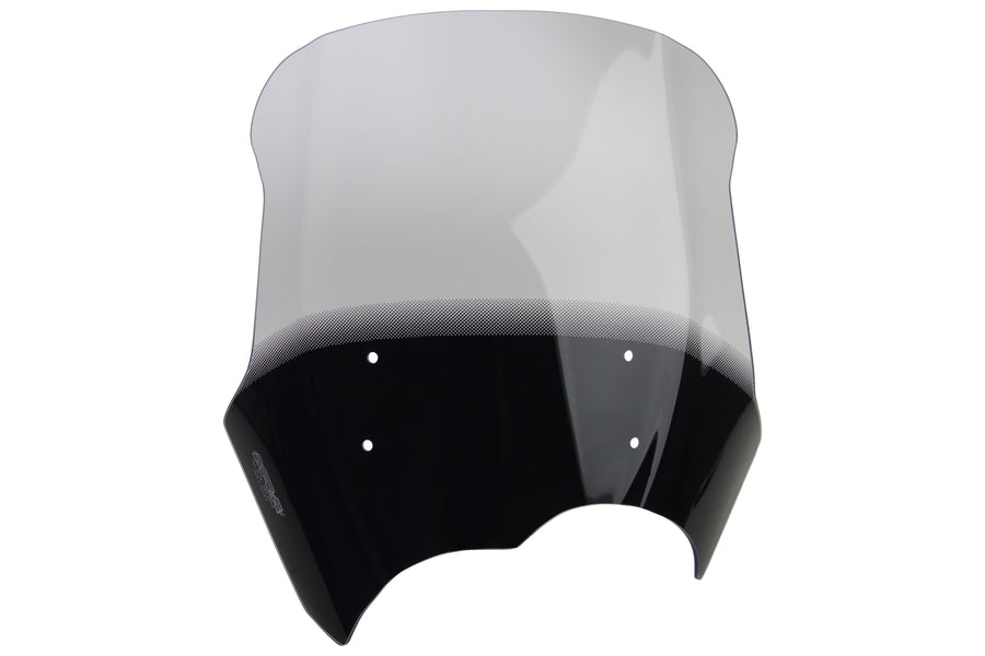 BMW G 650 GS [2011-]-Touring Disc "T"