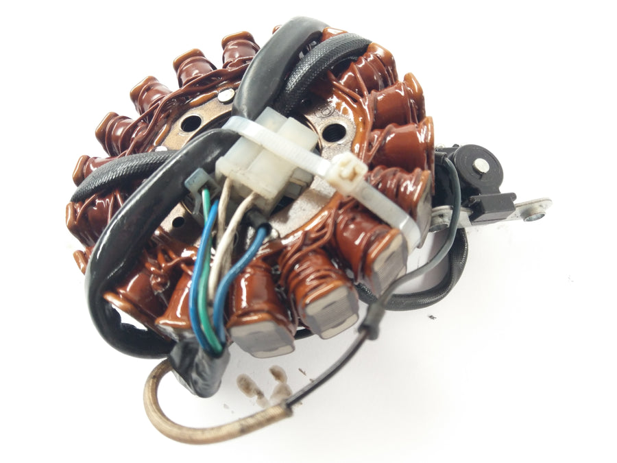 YAMAHA TT 600 RE DJ01 [2006] - Generatorstator