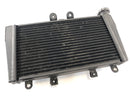 Triumph Speed ​​Triple 1050 515NJ [2006] - Cool Water Cooler-1
