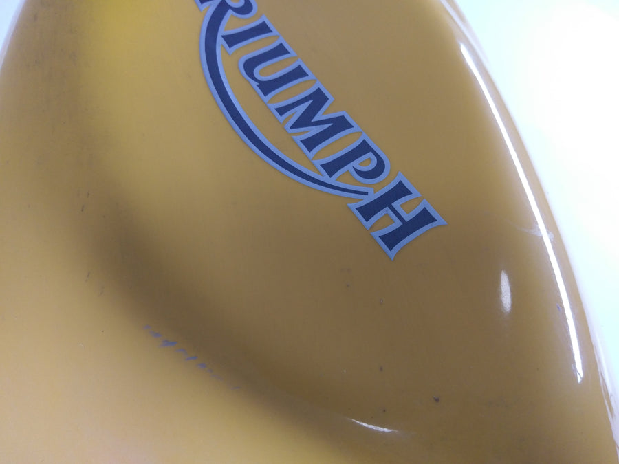 Triumph Sprint 955i RS T695 [2000] - Tank Benzin Tank