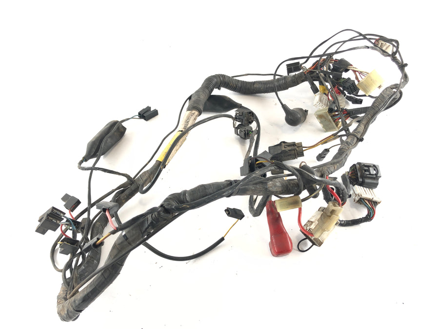 Triumph Thunderbird 900 RT T309 [1997] - Ledningsnet