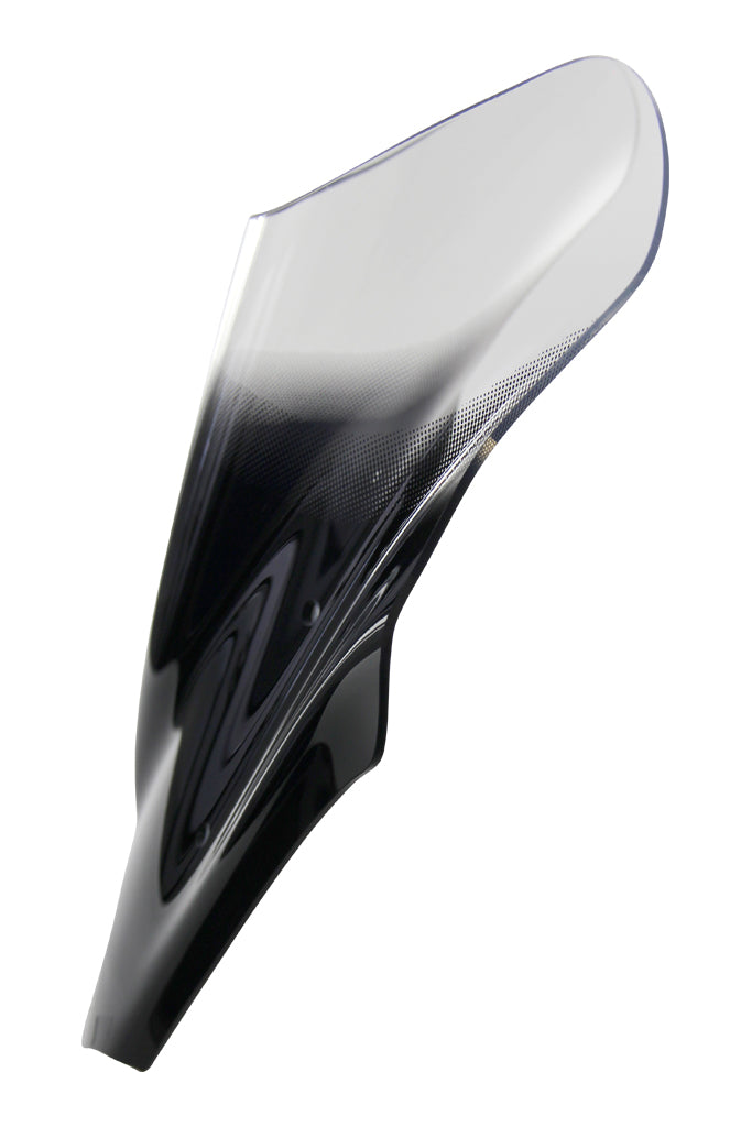 Yamaha MT-07 [2018-2020] -Poiler Disc "NSM"
