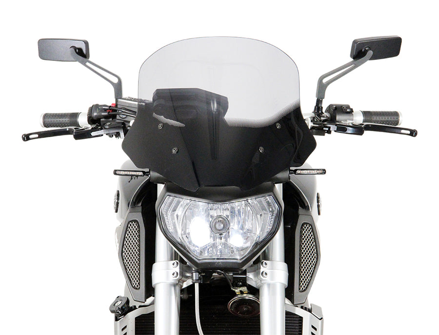 Yamaha MT-09 / FZ-09 [2014-2016] -Touring Disc "NTM"