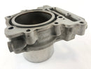 Aprilia Mille RSV 1000 ME [1999] - Cylinder bagcylinder-3