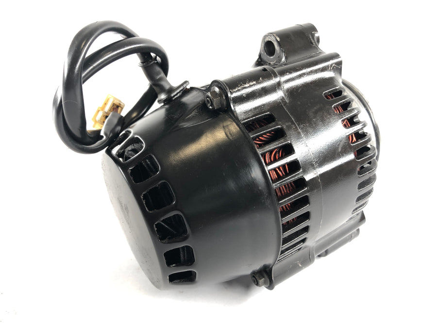 Triumph Daytona 1200 T300D [1995] - Generator