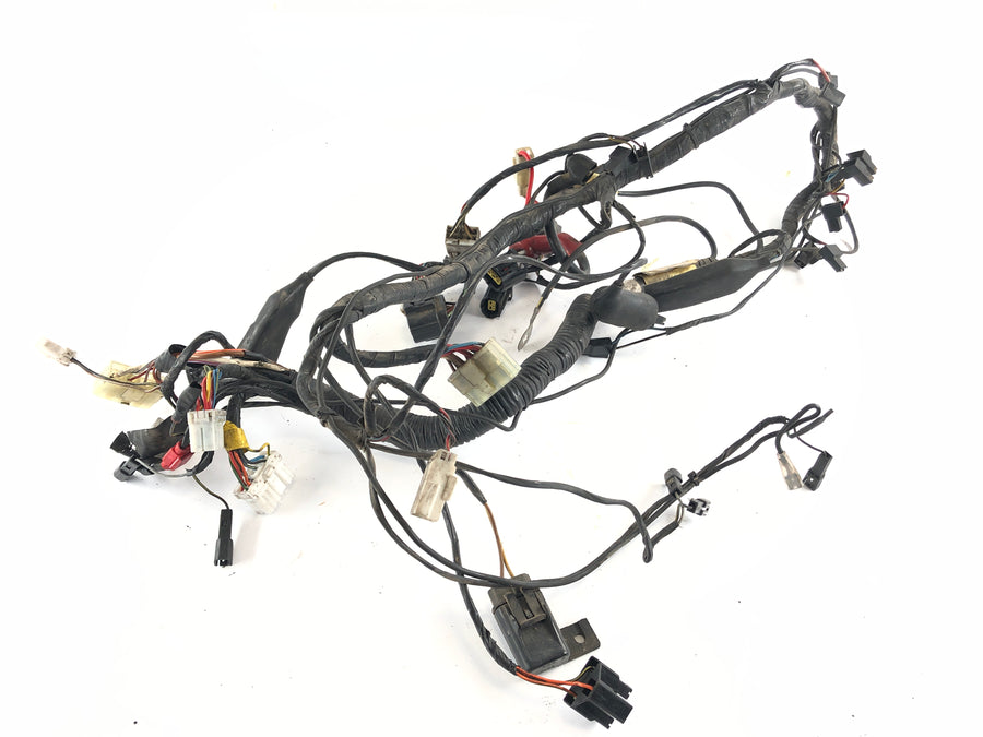 Triumph Thunderbird 900 RT T309 [1997] - Ledningsnet