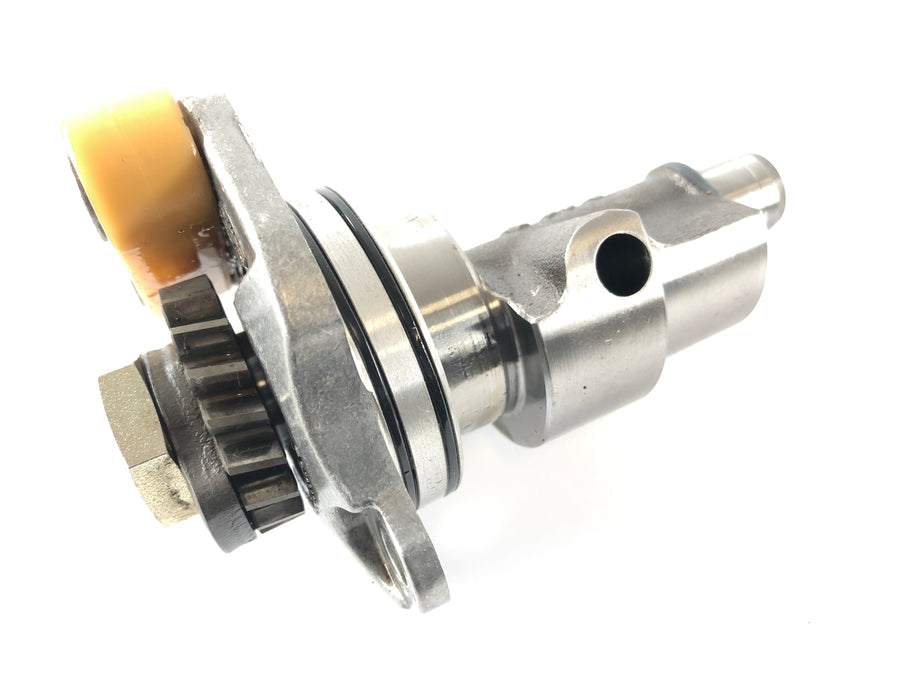 Kan på Spyder SM5 [2009] - Midly Compensation Shaft i den bageste camshaftrie