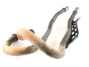 Honda NX 650 Dominator RD02 [1992] - Manifold Set -par-5