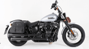 Harley-Davidson Softail Standard [2020-2025] -C-Bow Side Carrier-5