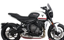 Triumph Trident660 [2021-]-Sportsdisk "NSPM"-5