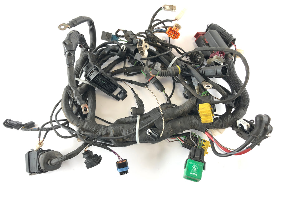 BMW F 650 CS Scarver [2001] - Ledningsnet