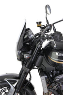 Kawasaki Z 900 Rs [2018-]-Sportsdisk "NSP"-5