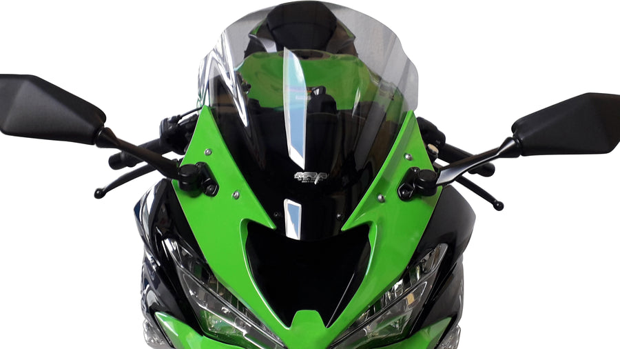Kawasaki Ninja ZX 6 R [2019-2023]-RACING DISC "R"