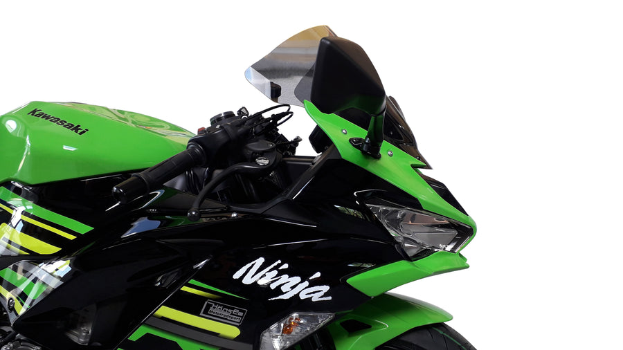 Kawasaki Ninja ZX 6 R [2019-2023]-RACING DISC "R"