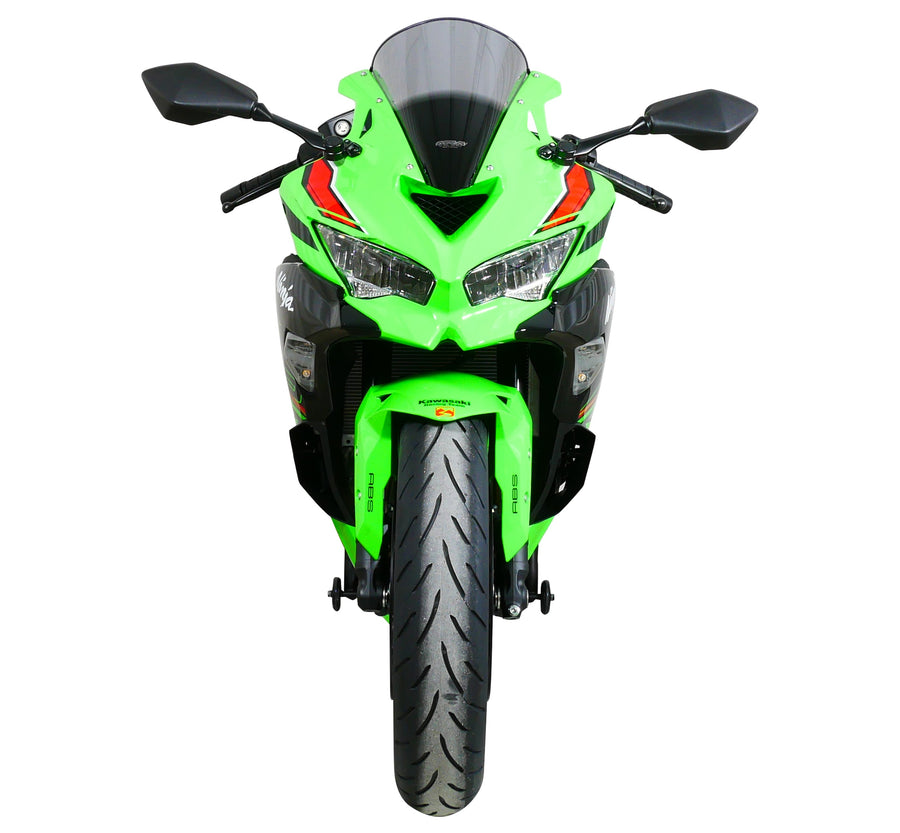 Kawasaki ZX-4 R / ZX- 4 RR [2023-]-Racing Disc "R"