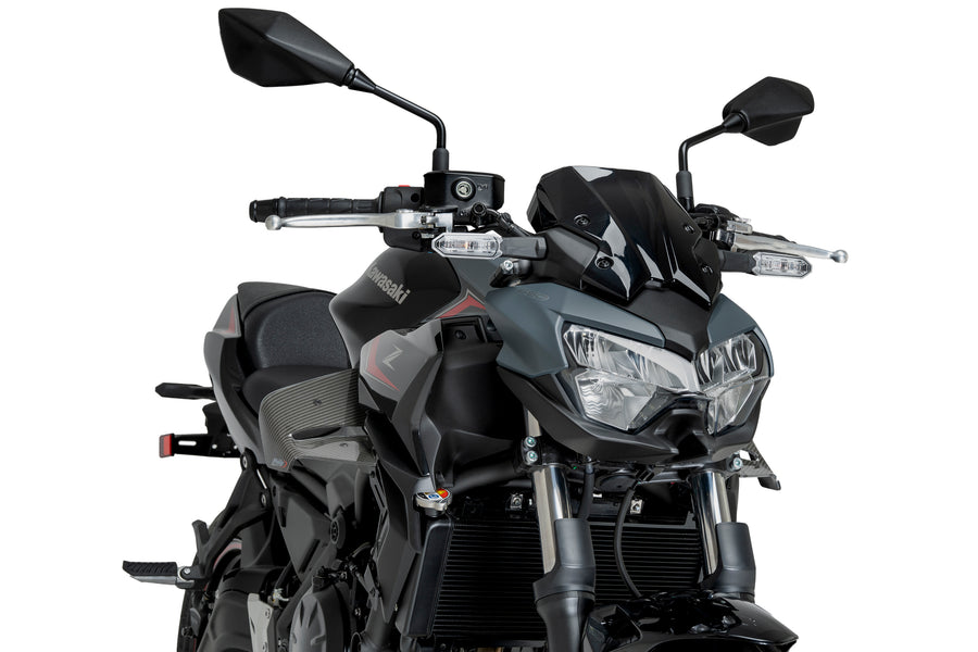KAWASAKI Z 650 [2025] – D12 Spoiler – Sort