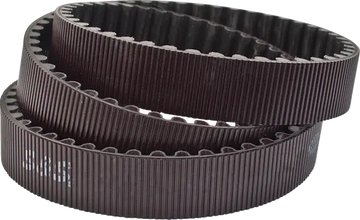 Harley-Davidson FXRP 1340 Sport Glide Police [1989] - Sekundärantriebsriemen – Art.-Nr. 560-0428 – Bild 2