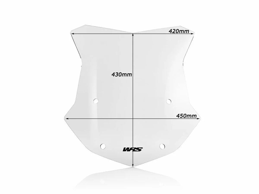 BMW R 1200 R [WRS] - forrude
