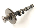 Triumph Tiger 955i 709en [2001] - Camshaft Inlet Camshaft-4