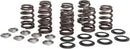 Harley-Davidson FLHFB 1868 Electra Glide Highway King 114 [2023] - Titanium Ventilfederhalter-Kit – Bild 10