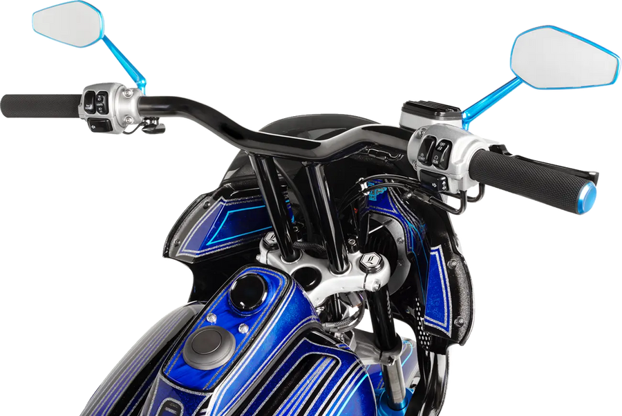 harley davidson sportster s 1250 [ARLEN NESS] – riflede greb