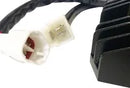Suzuki GSF 1250 [RICK'S MOTORSPORT ELECTRIC] - Hot Shot Lithium-Ion-kompatibel ensretterregulator