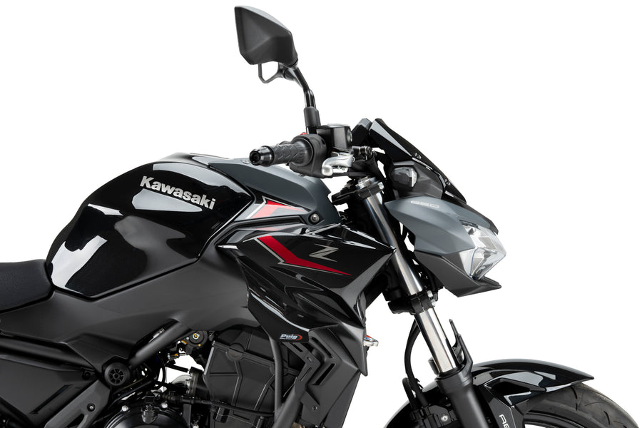 KAWASAKI Z 650 [2025] – D12 Spoiler – Mat Sort