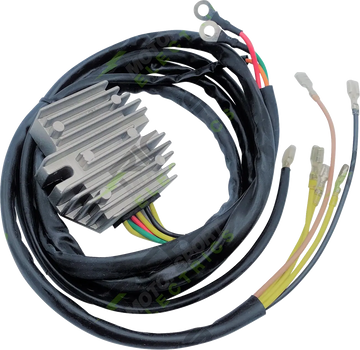 bmw r 60/5 [RICK'S MOTORSPORT ELECTRIC] – ensretter og regulator
