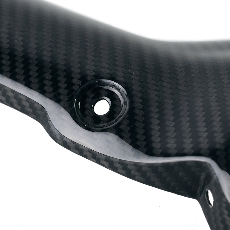 BMW R 1300 GS Adventure [2024–2026] - Carbon-Hitzeschildabdeckung für RAD-Schalldämpfer (Code 4009)