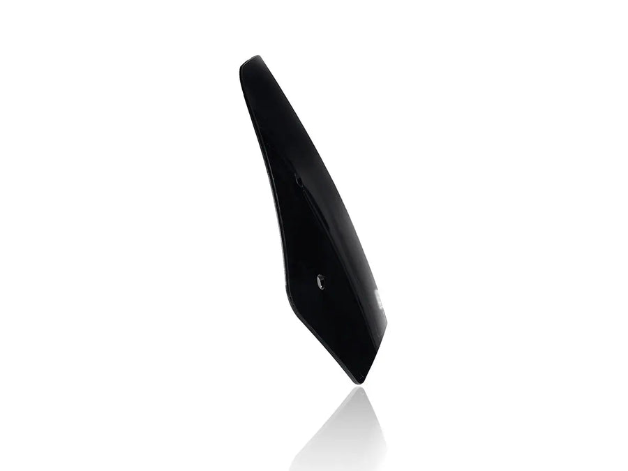 Benelli Leoncino 500 [WRS] – Forrude