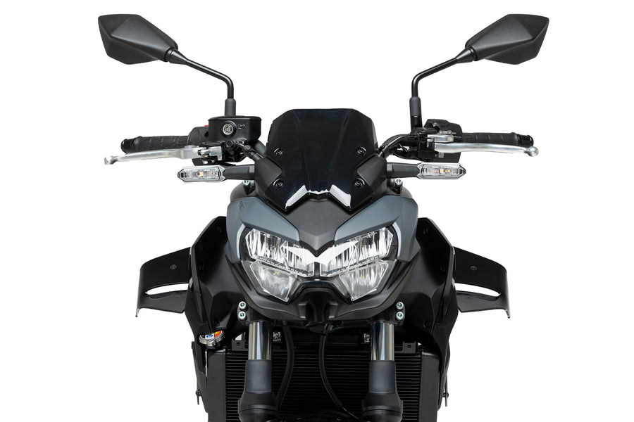 KAWASAKI Z 650 [2025] – D12 Spoiler – Sort