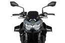 KAWASAKI Z 650 [2025] – D12 Spoiler – Mat Sort-3