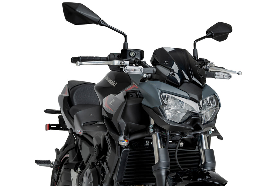 KAWASAKI Z 650 [2025] – D12 Spoiler – Mat Sort