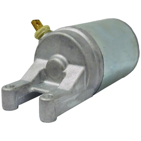 Suzuki GSF 600 [DELE EUROPA] – Starter